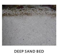 Deep Sand Bed