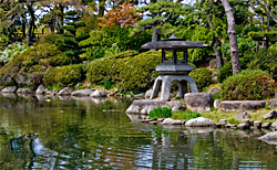 Japanese Koi Pond