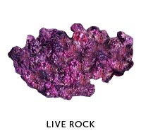 Live Rock